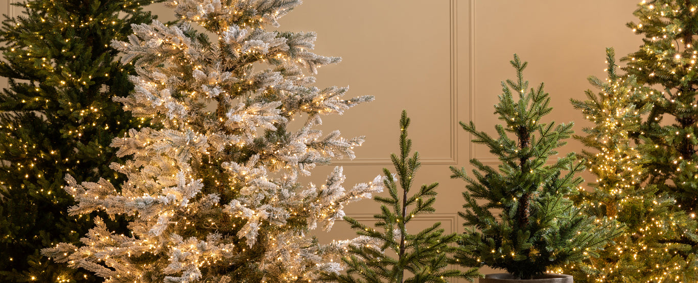 Christmas Tree Hill Store -Christmas Tree Hill Store