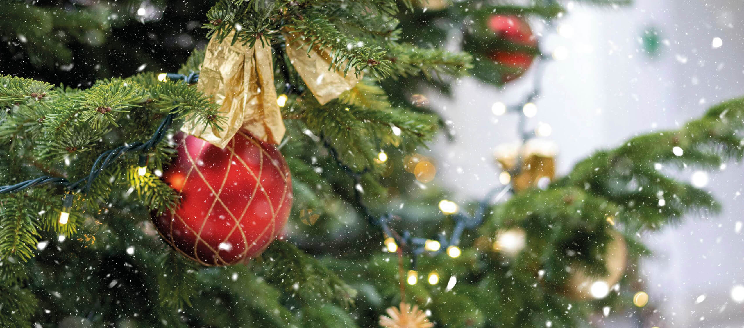 Christmas Tree Hill Store -Christmas Tree Hill Store banner 3