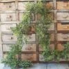 Boxwood Garland - New England Boxwood - 6 Foot -Christmas Tree Hill Store boxwood garland new england boxwood 6 foot 12