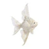 Christmas Ornament - White & Gold Angelfish - 10in -Christmas Tree Hill Store christmas ornament white gold angelfish 10in 12