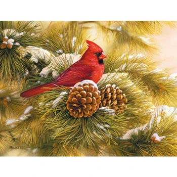 Lang Boxed Christmas Cards - December Dawn Cardinal - Rosemary Millette 3 Lang Boxed Christmas Cards - December Dawn Cardinal - Rosemary Millette