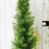 Long Needle Pine Twig Tree - Table Top Christmas Tree - 4 Foot -Christmas Tree Hill Store long needle pine twig tree table top christmas tree 4ft 16