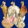 Old World Christmas Glass Ornament - Sea Shell Set Of 6 -Christmas Tree Hill Store old world christmas glass ornament sea shell set of 6 new 21