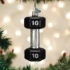 Old World Christmas Glass Ornament - Dumbbell