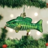 Old World Christmas Glass Ornament - Smallmouth Bass -Christmas Tree Hill Store old world christmas ornament smallmouth bass 15